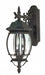 Nuvo Lighting - 60-893 - Three Light Outdoor Lantern - Central Park - Textured Black