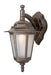 Trans Globe Imports - 4056 RT - One Light Wall Lantern - Alexander - Rust