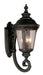 Trans Globe Imports - 5042 RT - Four Light Wall Lantern - Commons - Rust