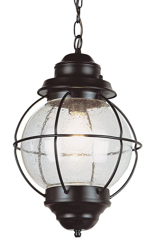 Trans Globe Imports - 69903 BK - One Light Hanging Lantern - Catalina - Black