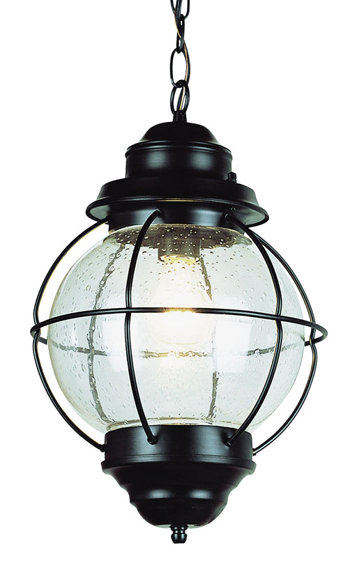 Trans Globe Imports - 69906 BK - One Light Hanging Lantern - Catalina - Black