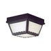 Thomas Lighting - SL7597 - Two Light Flush Mount - Outdoor Essentials - Black