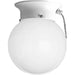 Progress Lighting - P3605-30SW - One Light Close-to-Ceiling - Glass Globes - White