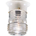 Progress Lighting - P5603-30 - One Light Close to Ceiling - Utility Lantern - White