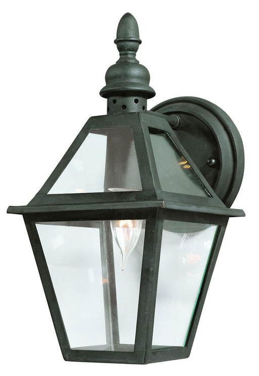 Troy Lighting - B9620NB - One Light Wall Lantern - Townsend - Natural Bronze
