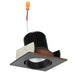 2`` Square Cone Reg. Adj - Lighting Design Store