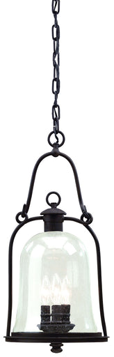 Owings Mill Hanging Lantern