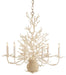 Currey and Company - 9218 - Six Light Chandelier - Seaward - White Coral/Natural Sand