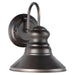 Forte - 1127-01-32DS - One Light Outdoor Lantern - Family Number 393 - Antique Bronze