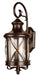 Trans Globe Imports - 5120 ROB - Two Light Wall Lantern - Chandler - Rubbed Oil Bronze