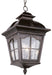 Trans Globe Imports - 5421 AR - Three Light Hanging Lantern - Briarwood - Antique Rust