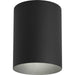 Progress Lighting - P5774-31 - One Light Outdoor Ceiling Mount - Cylinder - Black
