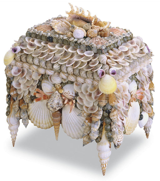 Currey and Company - 1251 - Jewelry Box - Boardwalk Shell - Natural