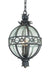 Troy Lighting - F5009CB - Four Light Hanging Lantern - Campanile - Campanile Bronze