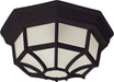 Maxim - 1020BK - Two Light Outdoor Ceiling Mount - Crown Hill - Black
