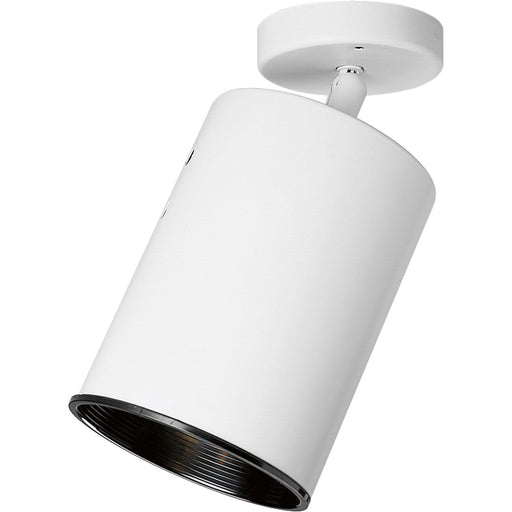 Directional Wall/Ceiling Heat Lamp