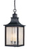 Savoy House - 5-256-25 - Three Light Hanging Lantern - Monte Grande - Slate