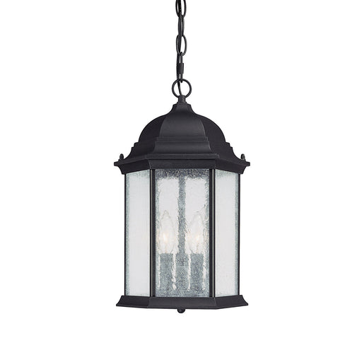 Capital Lighting - 9836BK - Three Light Outdoor Hanging Lantern - Main Street - Black