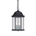 Capital Lighting - 9836BK - Three Light Outdoor Hanging Lantern - Main Street - Black