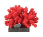 Elk Home - 60-1540 - Decorative Accessory - Fire Island Coral - Black, Red, Red