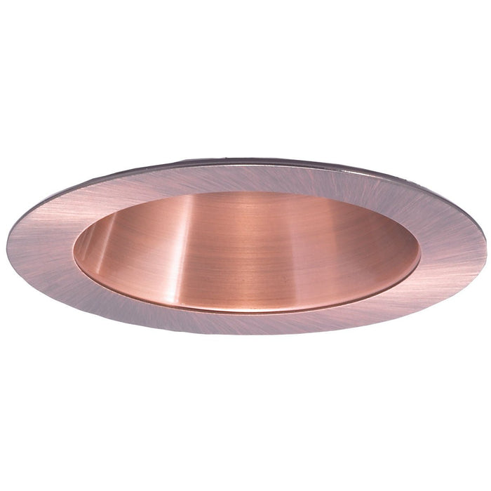 4`` Reflectorector Trim W/ Metal Ring - Lighting Design Store