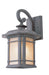 Trans Globe Imports - 5821 RT - One Light Wall Lantern - San Miguel - Rust