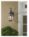 Oasis Outdoor Wall Lantern-Exterior-Quoizel-Lighting Design Store