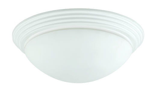 Two Light Ceiling Mount