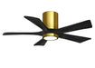 42``Ceiling Fan - Lighting Design Store