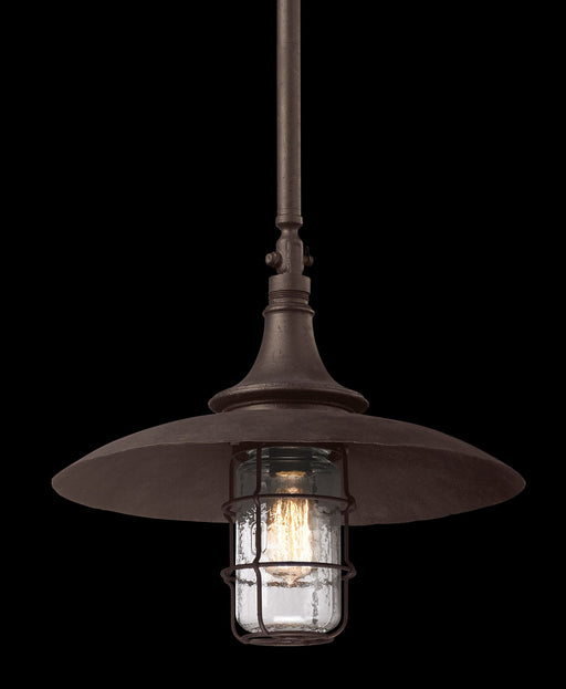 Troy Lighting - F3229 - One Light Hanging Lantern - Allegheny - Centennial Rust