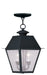 Livex Lighting - 2167-04 - Two Light Outdoor Pendant - Mansfield - Black