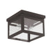 Milford Ceiling Mount-Flush Mounts-Livex Lighting-Lighting Design Store