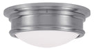 Livex Lighting - 7342-91 - Two Light Ceiling Mount - Astor - Brushed Nickel