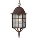 Nuvo Lighting - 60-4912 - One Light Hanging Lantern - Adams - Rustic Bronze
