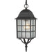 Nuvo Lighting - 60-4913 - One Light Hanging Lantern - Adams - Textured Black