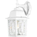 Nuvo Lighting - 60-4921 - One Light Wall Lantern - Banyan - White