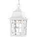 Nuvo Lighting - 60-4931 - One Light Hanging Lantern - Banyan - White