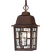 Nuvo Lighting - 60-4932 - One Light Hanging Lantern - Banyan - Rustic Bronze
