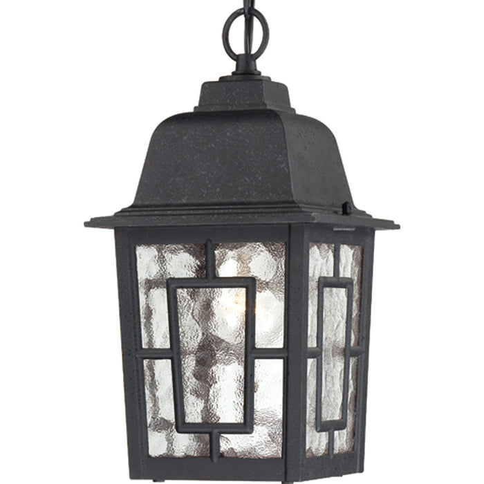 Nuvo Lighting - 60-4933 - One Light Hanging Lantern - Banyan - Textured Black
