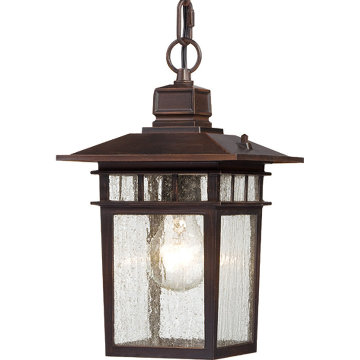 Nuvo Lighting - 60-4955 - One Light Hanging Lantern - Cove Neck - Rustic Bronze