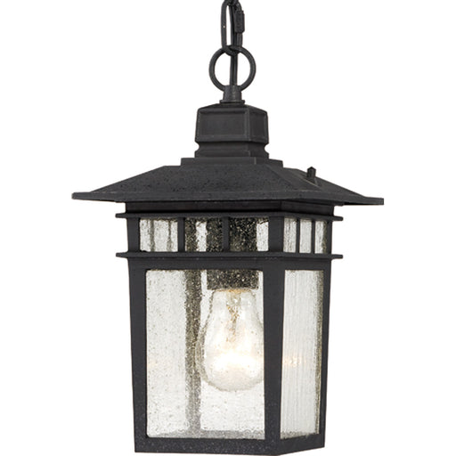 Nuvo Lighting - 60-4956 - One Light Hanging Lantern - Cove Neck - Textured Black
