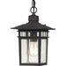 Nuvo Lighting - 60-4956 - One Light Hanging Lantern - Cove Neck - Textured Black