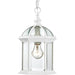 Nuvo Lighting - 60-4977 - One Light Hanging Lantern - Boxwood - White