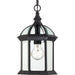 Nuvo Lighting - 60-4979 - One Light Hanging Lantern - Boxwood - Textured Black