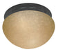 Nuvo Lighting - 60-2646 - Two Light Flush Mount - Flush Mounts - Mahogany Bronze