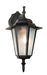 Trans Globe Imports - 4056 BK - One Light Wall Lantern - Alexander - Black