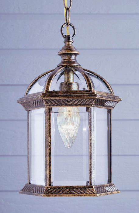 Trans Globe Imports - 4183 BG - One Light Hanging Lantern - Wentworth - Black Gold