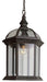 Trans Globe Imports - 4183 BK - One Light Hanging Lantern - Wentworth - Black