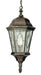 Trans Globe Imports - 4717 BRZ - One Light Hanging Lantern - Villa Nueva - Black Bronze