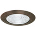 4``Fresnel Shwr Trim - Lighting Design Store